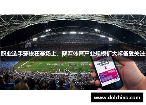 职业选手穿梭在赛场上，随着体育产业规模扩大将备受关注